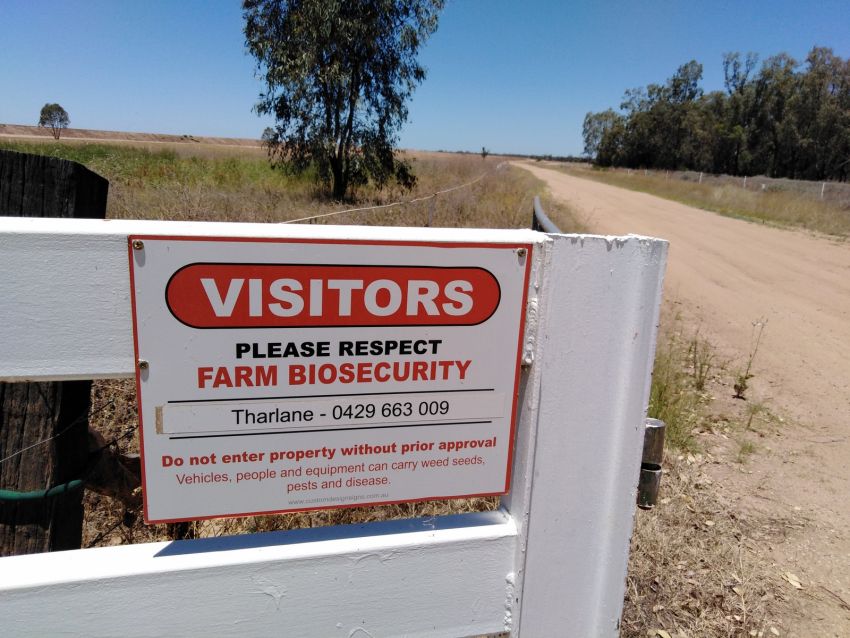 Farm biosecurity, Wee Waa, NSW Farm biosecurity, Wee Waa, NSW