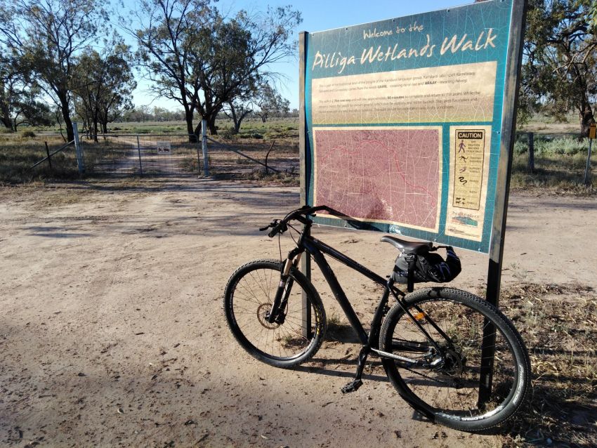 Pilliga wetlands walk Pilliga wetlands walk