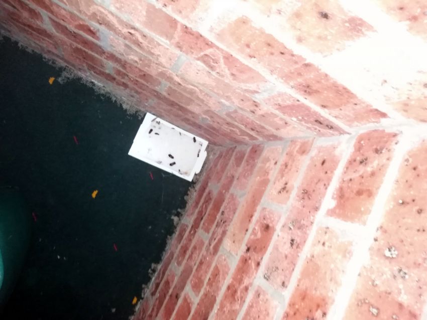 Cockroach trap Cockroach trap