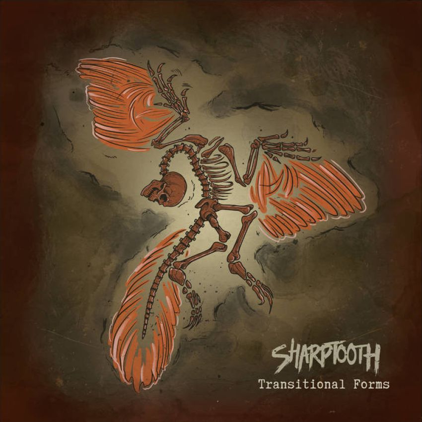 SHARPTOOTH - TRANSITIONAL FORMS album artwork SHARPTOOTH - TRANSITIONAL FORMS album artwork