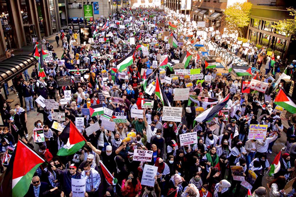 United States Movement for Palestine grows Green Left