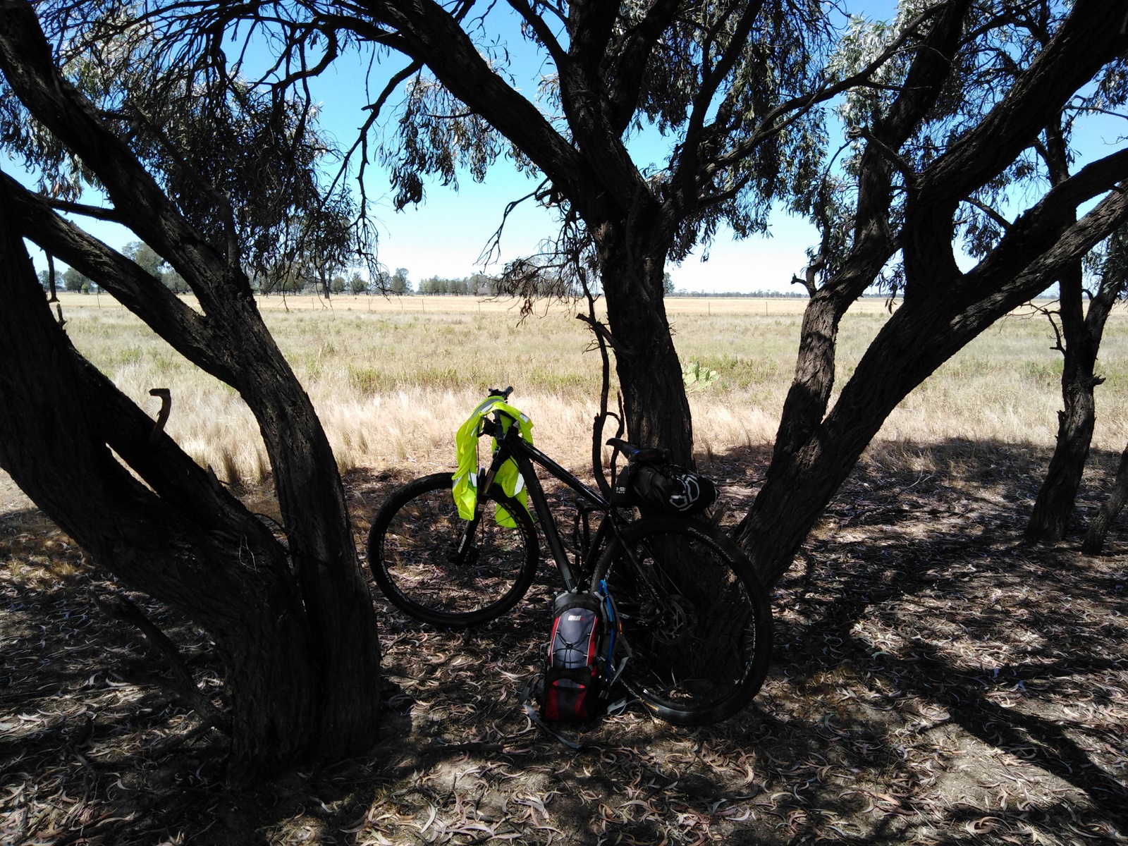 Wee Waa to Pilliga road