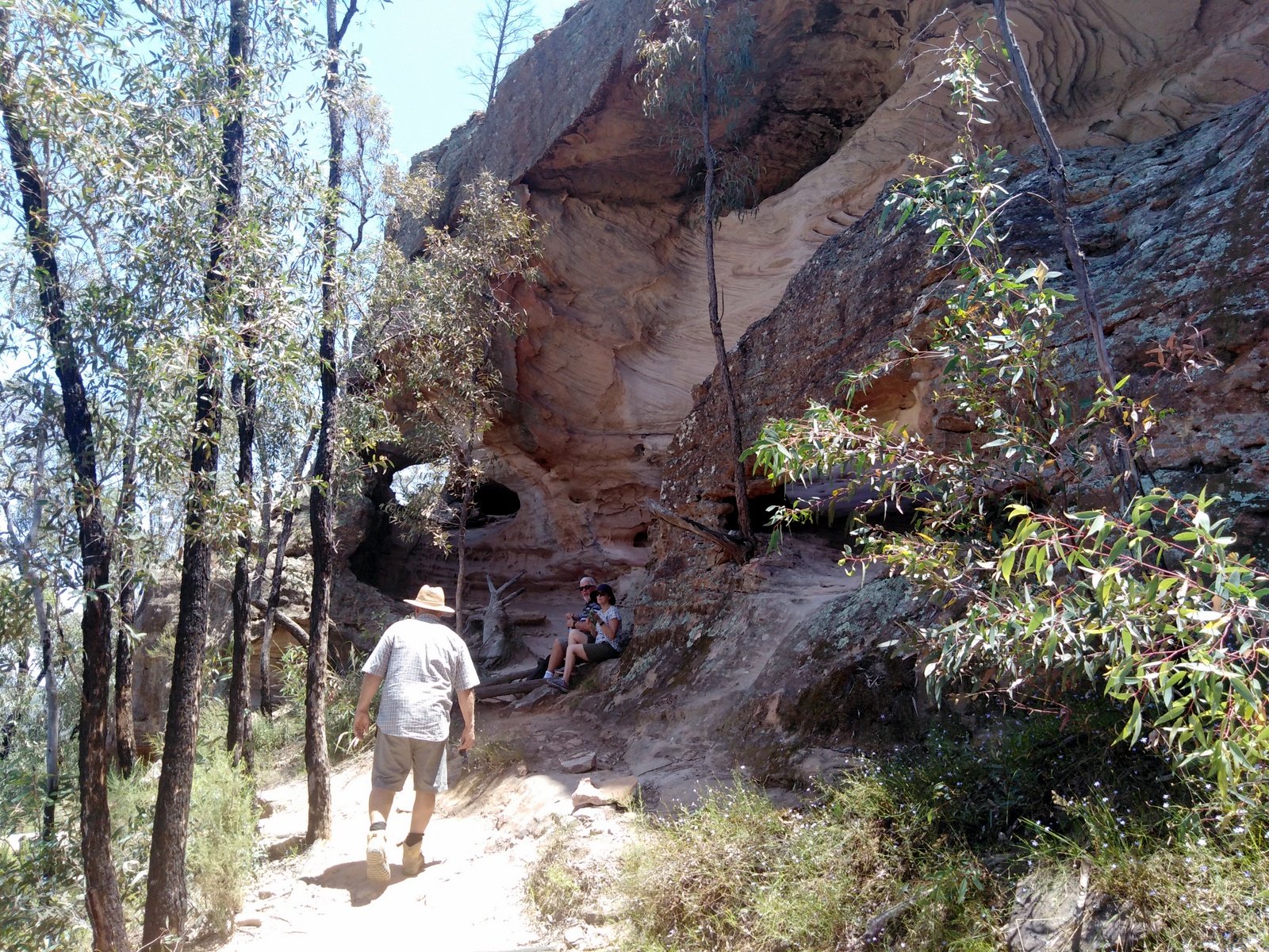 Sandstone Caves in Pilliga Forest