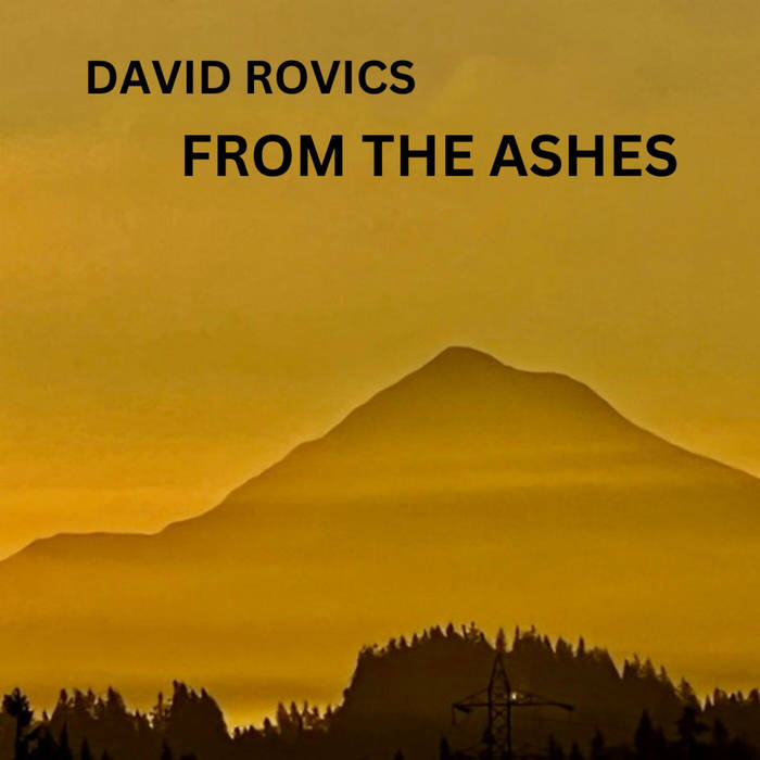 DAVID ROVICS - FROM THE ASHES album sleeve