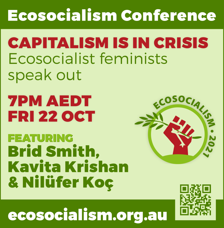 Capitalism is in crisis panel, Ecosocialism conference