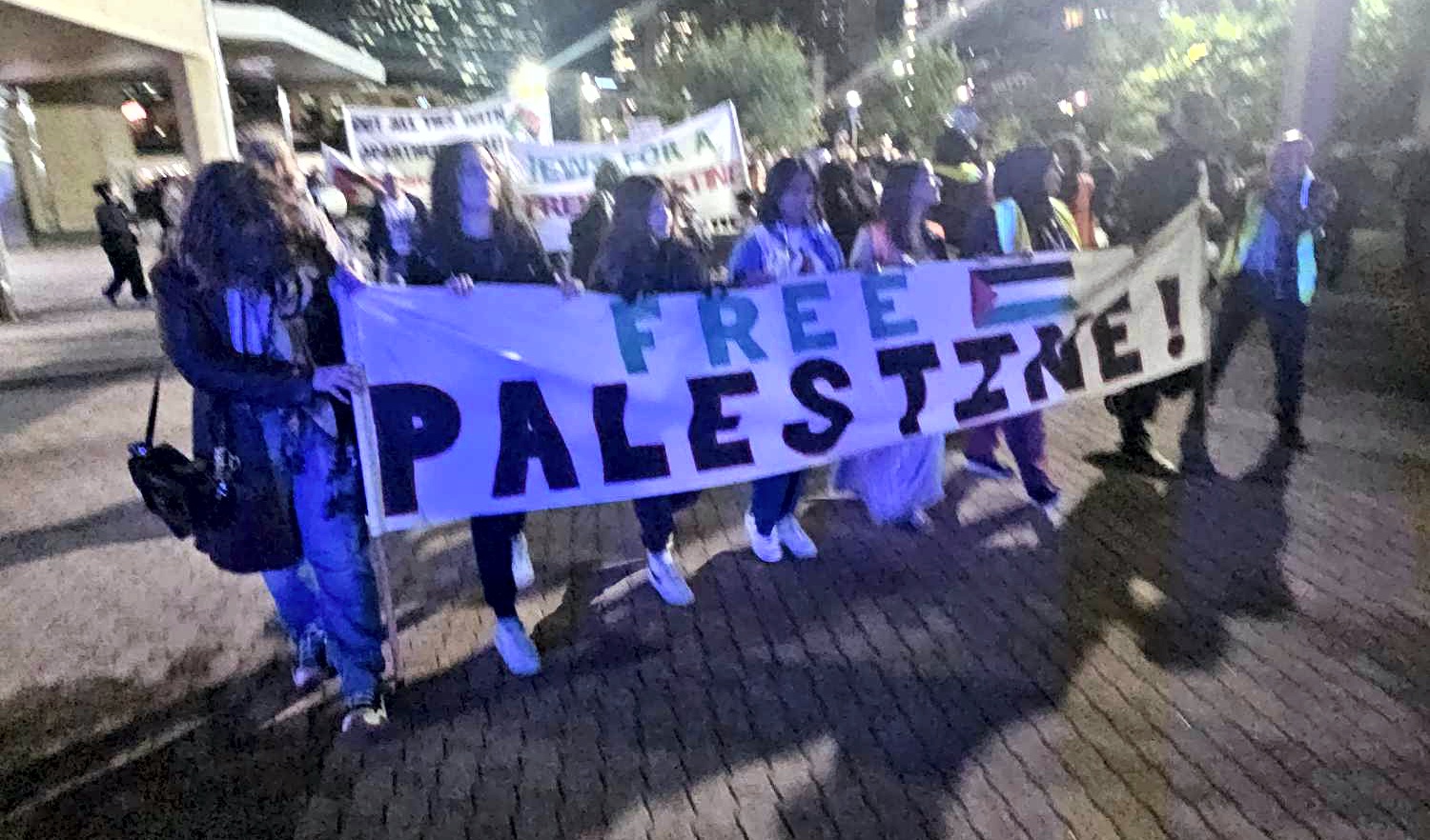 Free Palestine, Boorloo/Perth, May 31