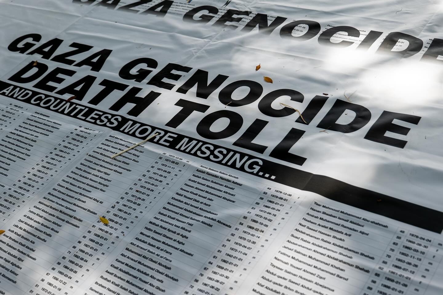 30,000+ people killed by Israel, named on a banner, Gadigal Country/Sydney, December 22