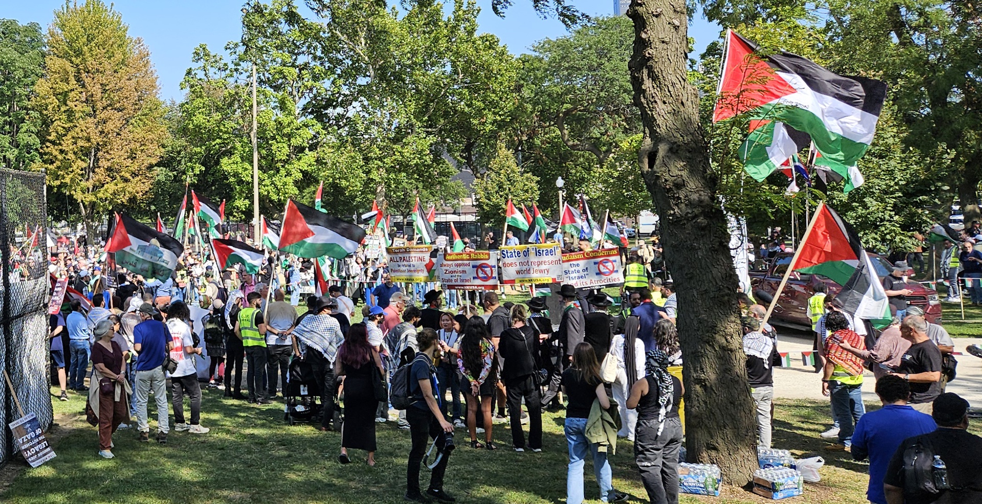 Waving Palestinian flags