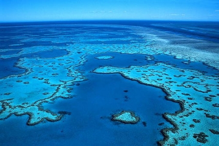 Carlo’s Corner: Let’s destroy the Great Barrier Reef already | Green Left