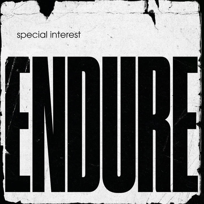 SPECIAL INTEREST - ENDURE album artwork