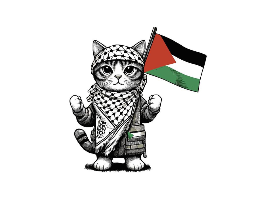 cat with Palestinian flag