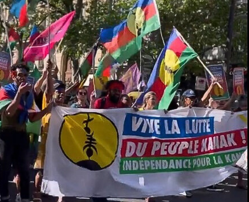 protesters with Kanak flags