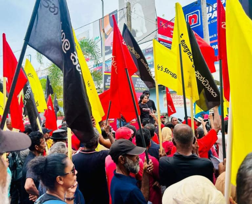 protesters with flags