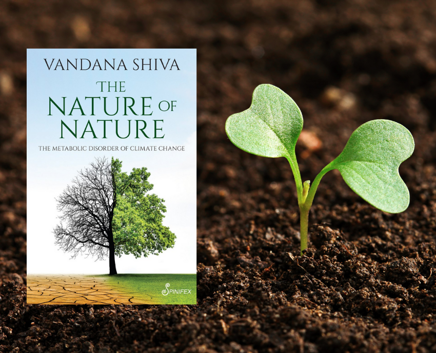 book cover and seedling