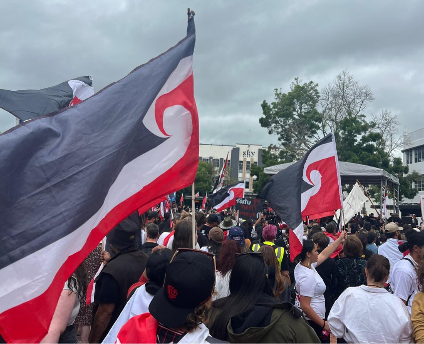 Participants in the Hikoi