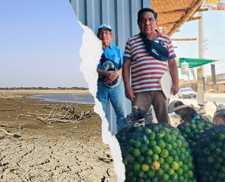 drought-stricken lake and lime farmers in Peru