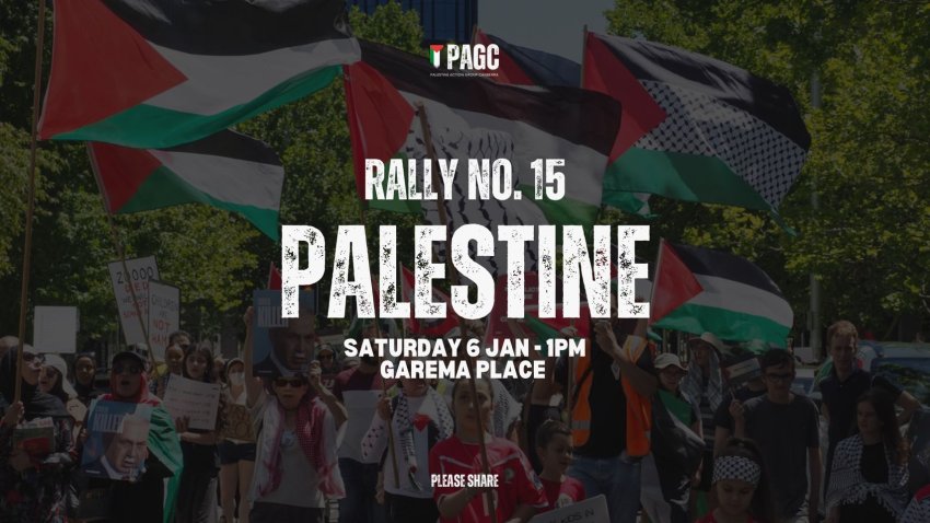 Protest for Palestine | Green Left