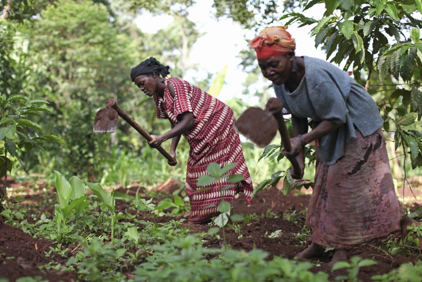 Jane Sebbi, left, is a farmer with 12 acres of land in Kamuli, Uganda and a mother of seven children