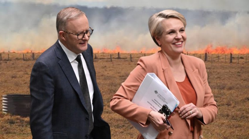 Tanya Plibersek and Anthony Albanese