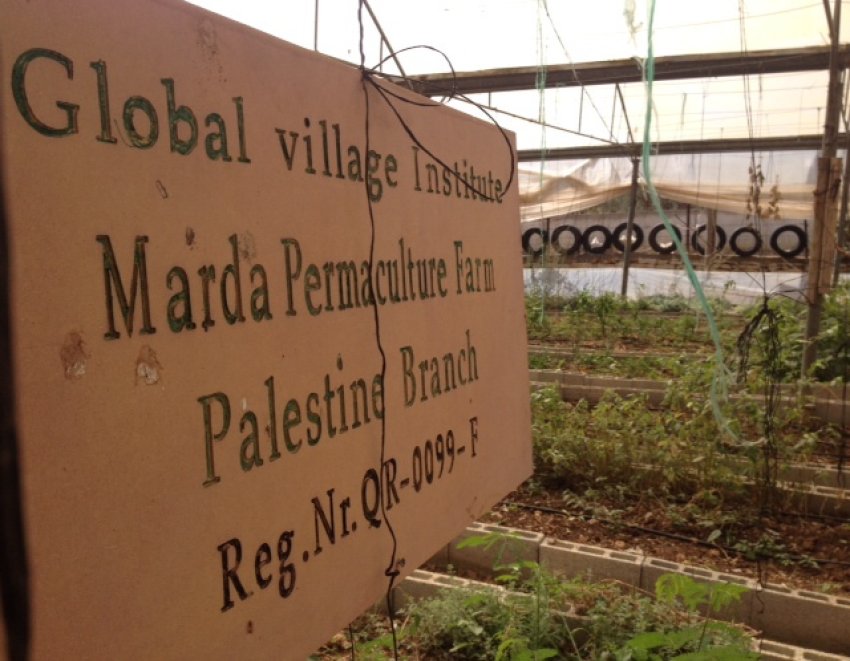 Marda Permaculture Farm in the West Bank.