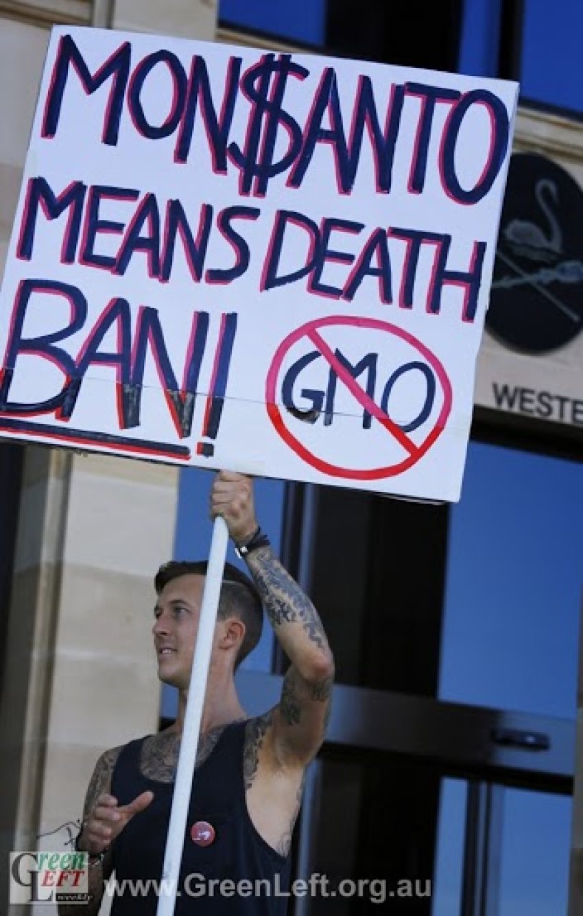 Protest against Monsanto May 25 2013.