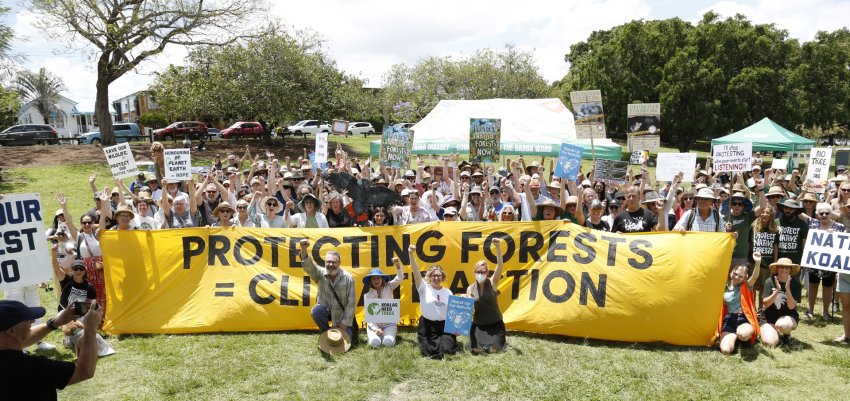 Protecting forests is climate action, Magan-djin/Brisbane rally for native forests