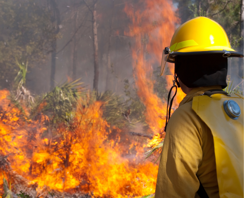 Canada fires