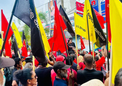 protesters with flags