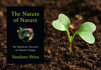 book cover and seedling