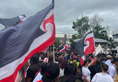 Participants in the Hikoi