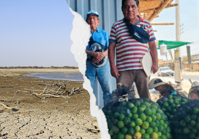 drought-stricken lake and lime farmers in Peru