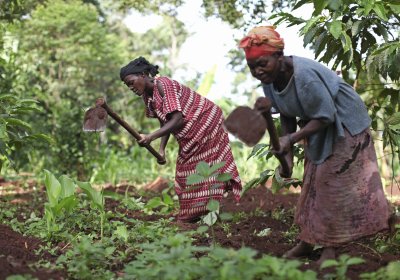 Jane Sebbi, left, is a farmer with 12 acres of land in Kamuli, Uganda and a mother of seven children