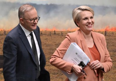 Tanya Plibersek and Anthony Albanese