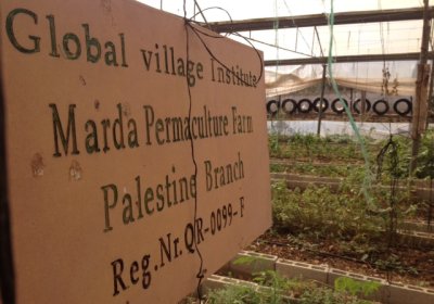 Marda Permaculture Farm in the West Bank.