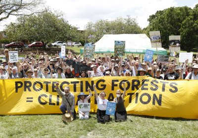 Protecting forests is climate action, Magan-djin/Brisbane rally for native forests