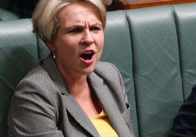 Tanya Plibersek