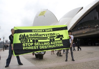 Two climbers abseiled down the Sydney Opera House on October 8.