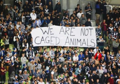 Melbourne Victory fans protest treatment by club management at a December 13.