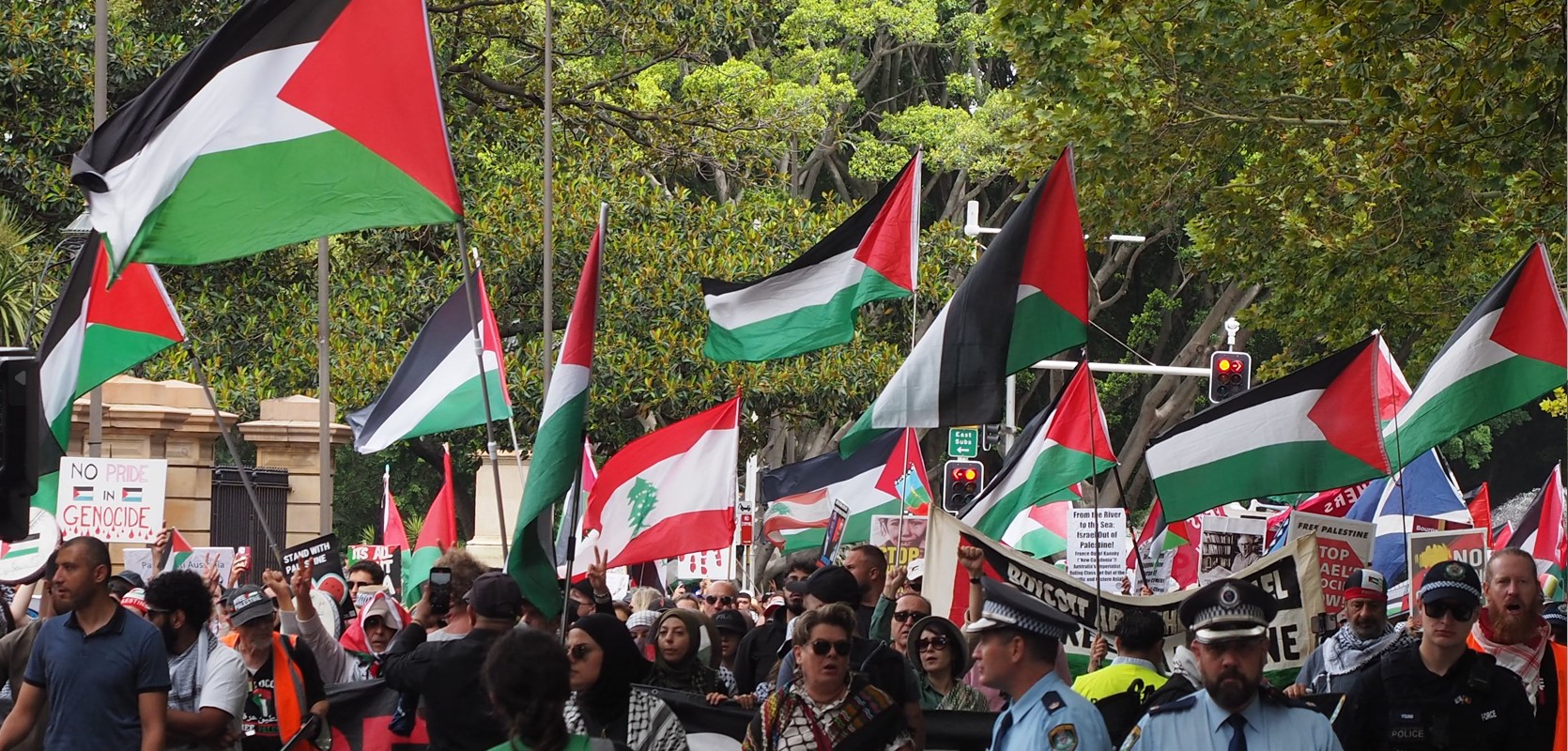 Rallying in Gadigal Country/Sydney, January 19