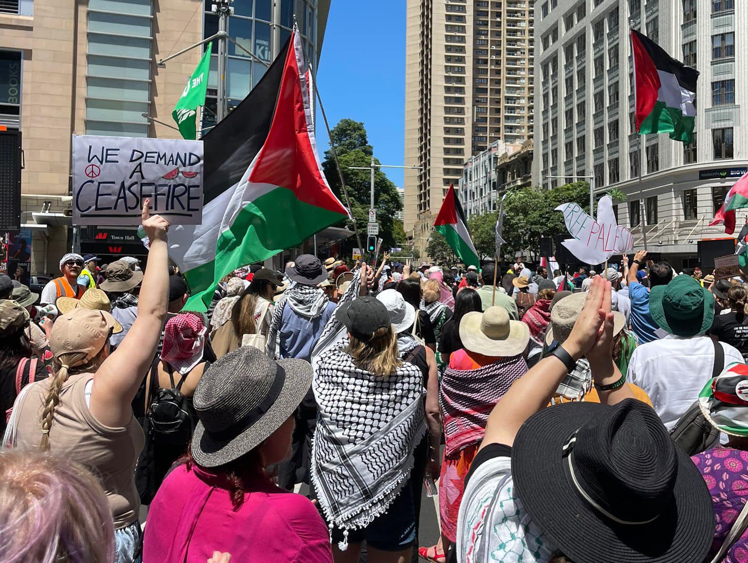 We demand a ceasefire, Gadigal Country/Sydney, January 5