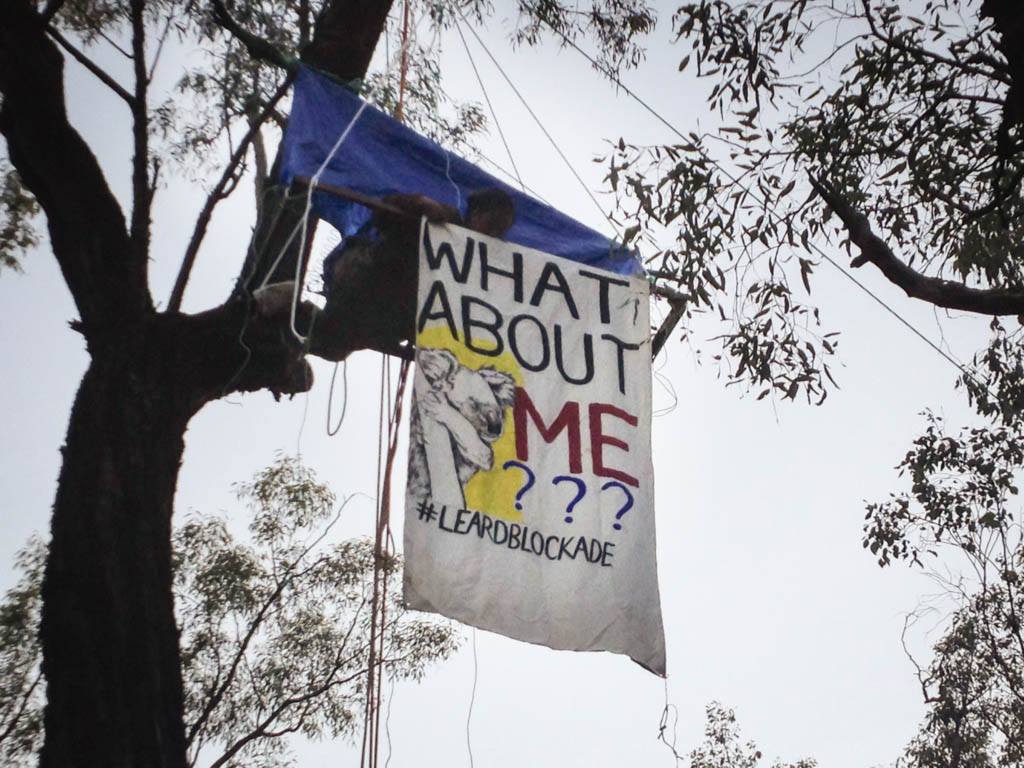 Leard State Forest blockade banner